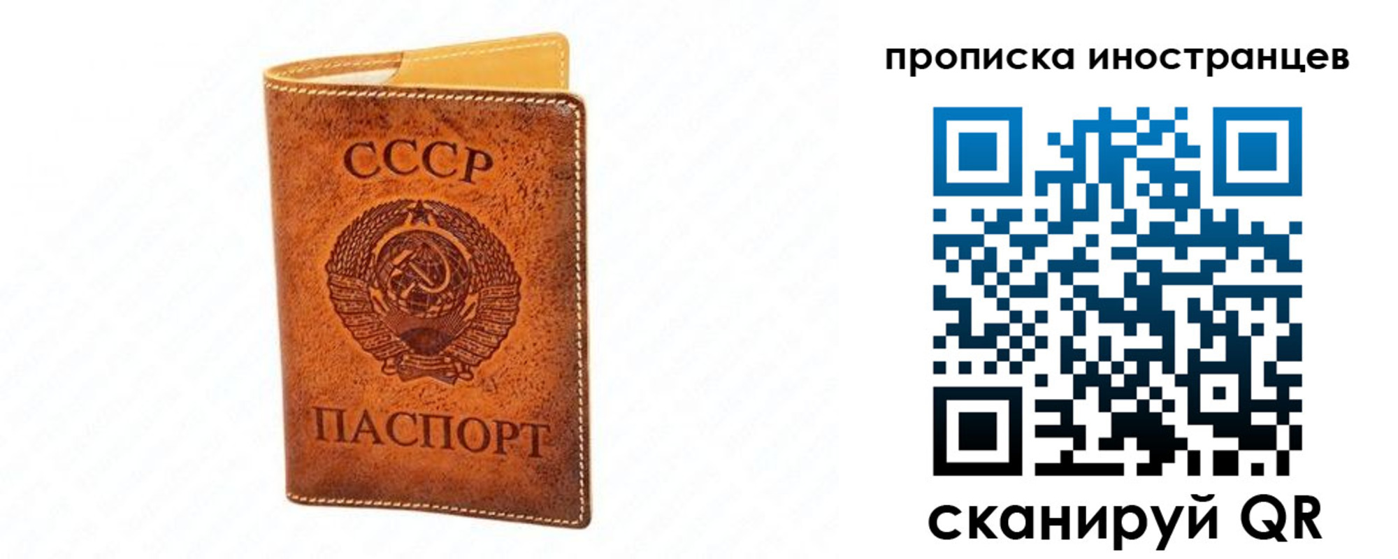 прописка для школы в Одинцово